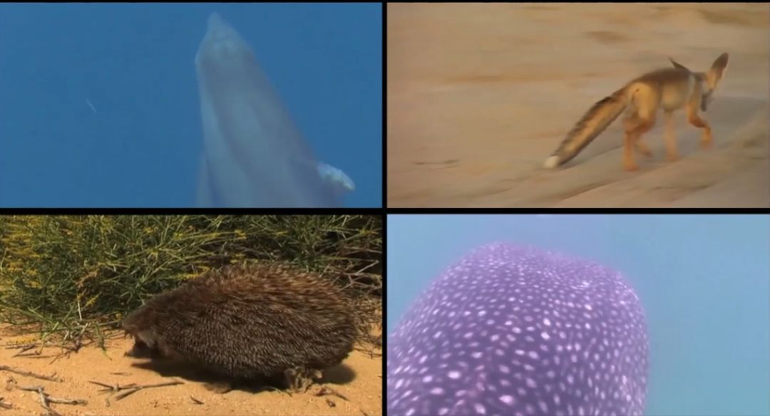 首页- 人生就是博中国官方网站