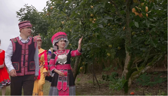 首页- 人生就是博中国官方网站