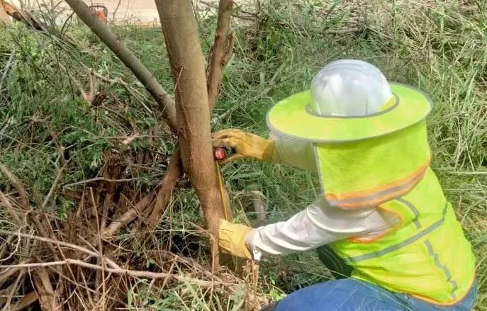 首页- 人生就是博中国官方网站