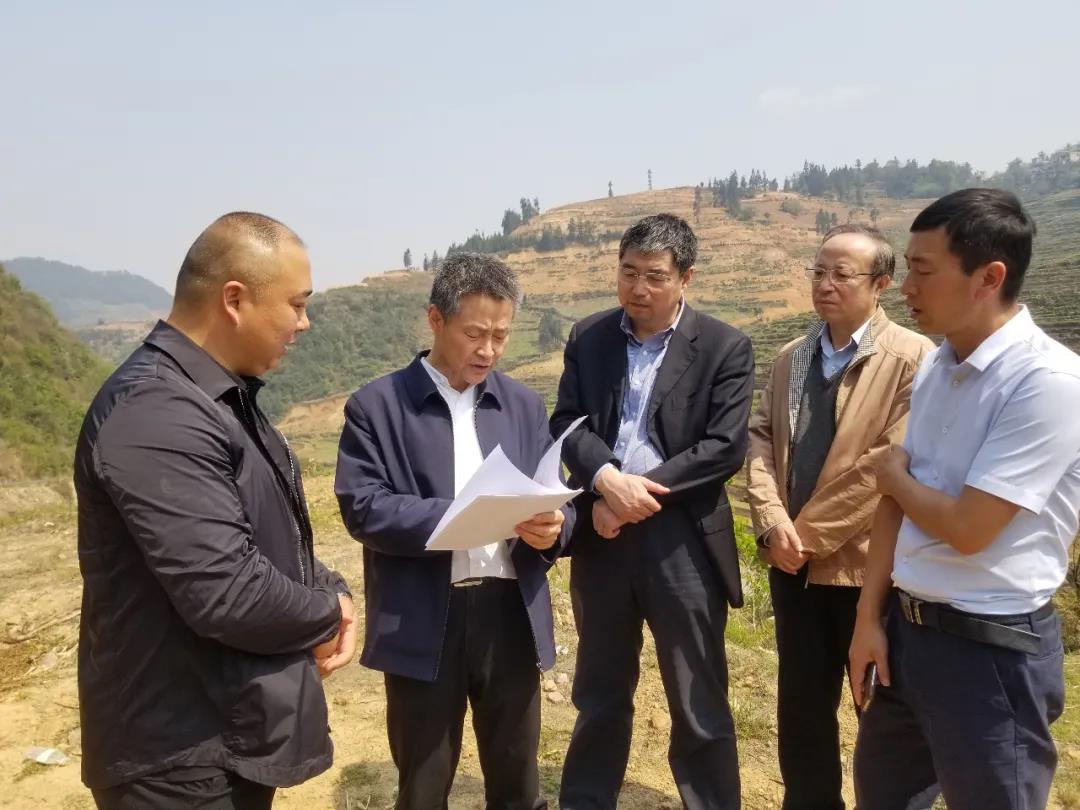 首页- 人生就是博中国官方网站